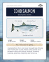 2025 Wild Coho Salmon Share