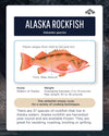 2025 Wild Rockfish Share