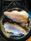 Local Virginia Rainbow Trout (Free Home Delivery)