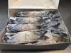 Soft-shell Blue Crabs (Market Pickup)